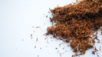 Peneliti: Nikotin Bisa Melindungi Orang Terinfeksi Virus Corona