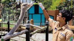 Kebun binatang lembang park zoo bandung