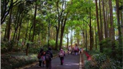 New Normal, Taman Hutan Raya (Tahura) Djuanda Bandung Siap Dibuka Kembali