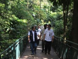 Forest Walk Taman Babakan Siliwangi Bandung Segera Dibuka