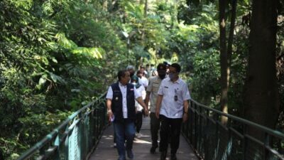 Forest Walk Taman Babakan Siliwangi Bandung Segera Dibuka