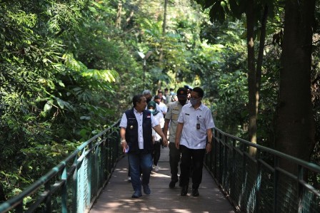 Forest walk Baksil Bandung Segera Dibuka