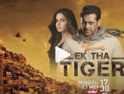 Sinopsis Film India Ek Tha Tiger Tayang di ANTV Sore ini Pukul 17.30 WIB