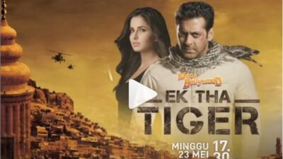 Sinopsis Film India Ek Tha Tiger Tayang di ANTV
