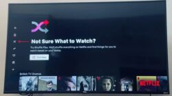 Fitur Putar Acak 'Shuffle di Netflix Play'