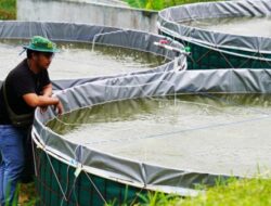 Petani Pembudidaya Ikan Milenial Jabar Mulai Digembleng