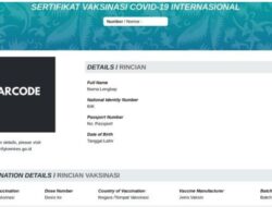 Cek dan Download Sertifikat Vaksin Covid-19 Internasional Di Aplikasi PeduliLindungi, Begini Caranya