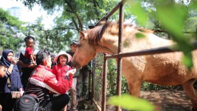 Harga Tiket Masuk Kebun Binatang Bandung Terbaru Lengkap dengan Sejarah hingga Jam Bukanya